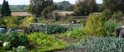 Allotments